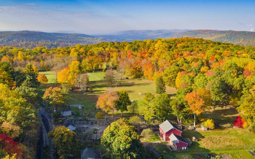 Drone Photograph of a Fall Foliage New Jersey