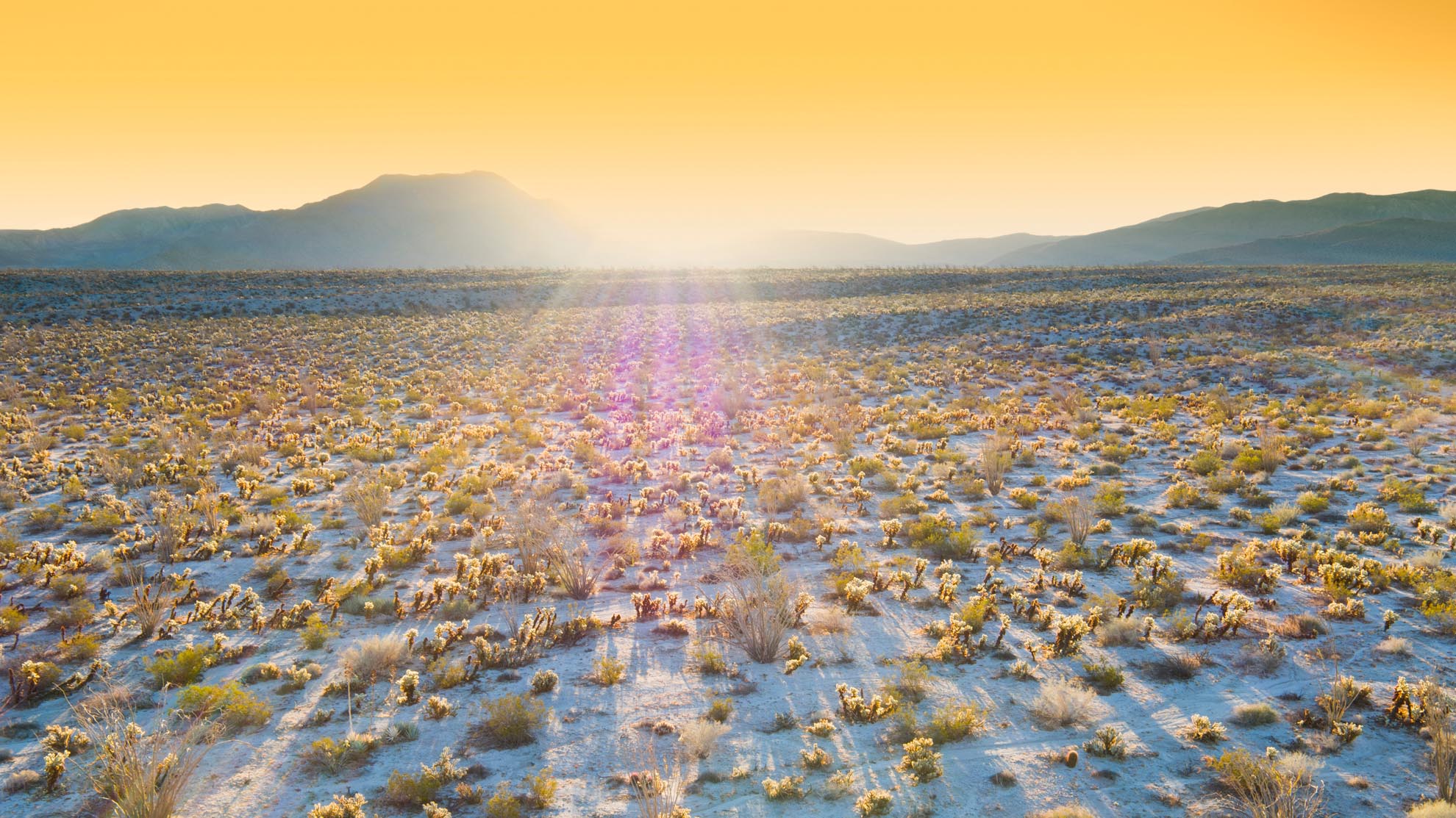 Drone Photograph of California Desert at sunrise