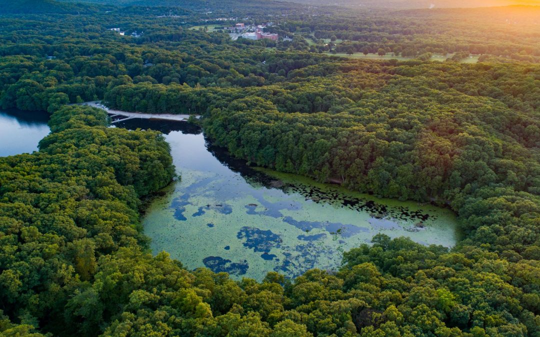 Photograph of Birchwood Lake at sunset taken with a drone