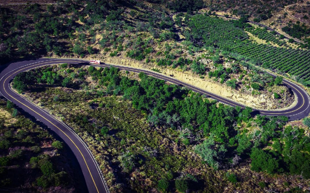 Drone Photograph of a Winding road in California
