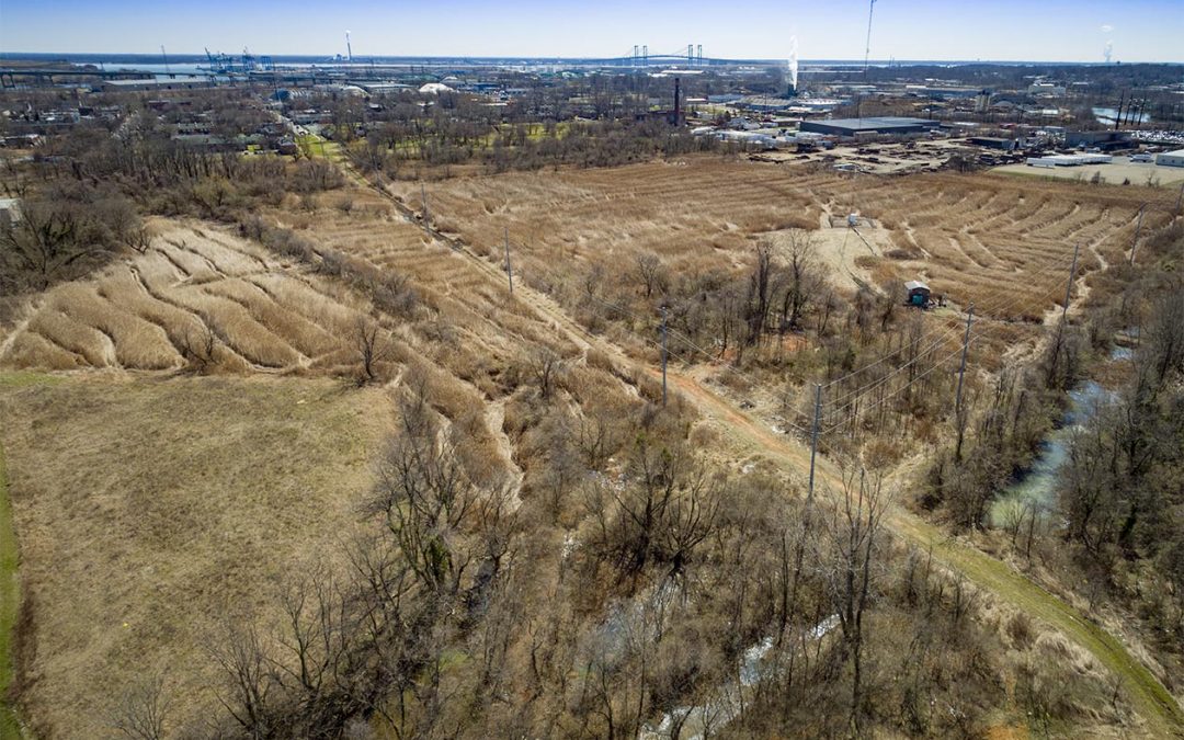 Drone Photograph of wetlands in WIlmington DE