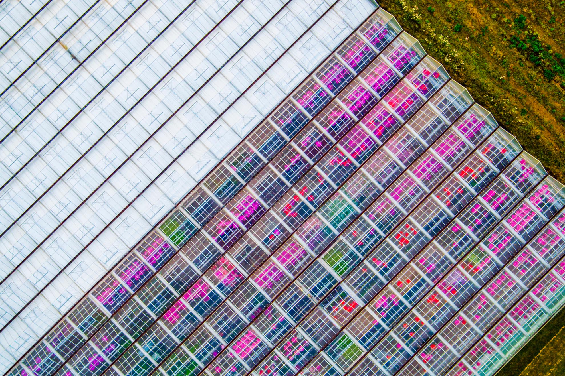 Drone photograph of birds eye view of commercial green house