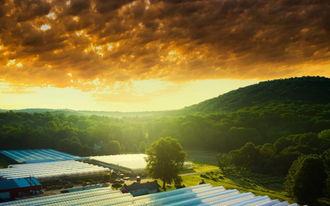 Drone Photograph of Green houses at sunrise in Boonton township NJ