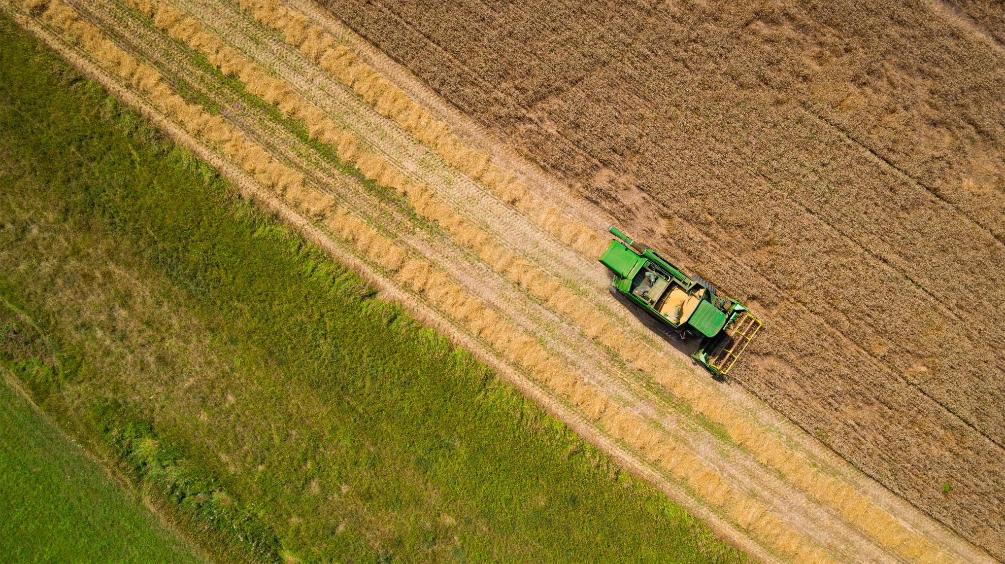 Drone Photograph of birds eye view of Combine Harvesting Wheat in New Jersey