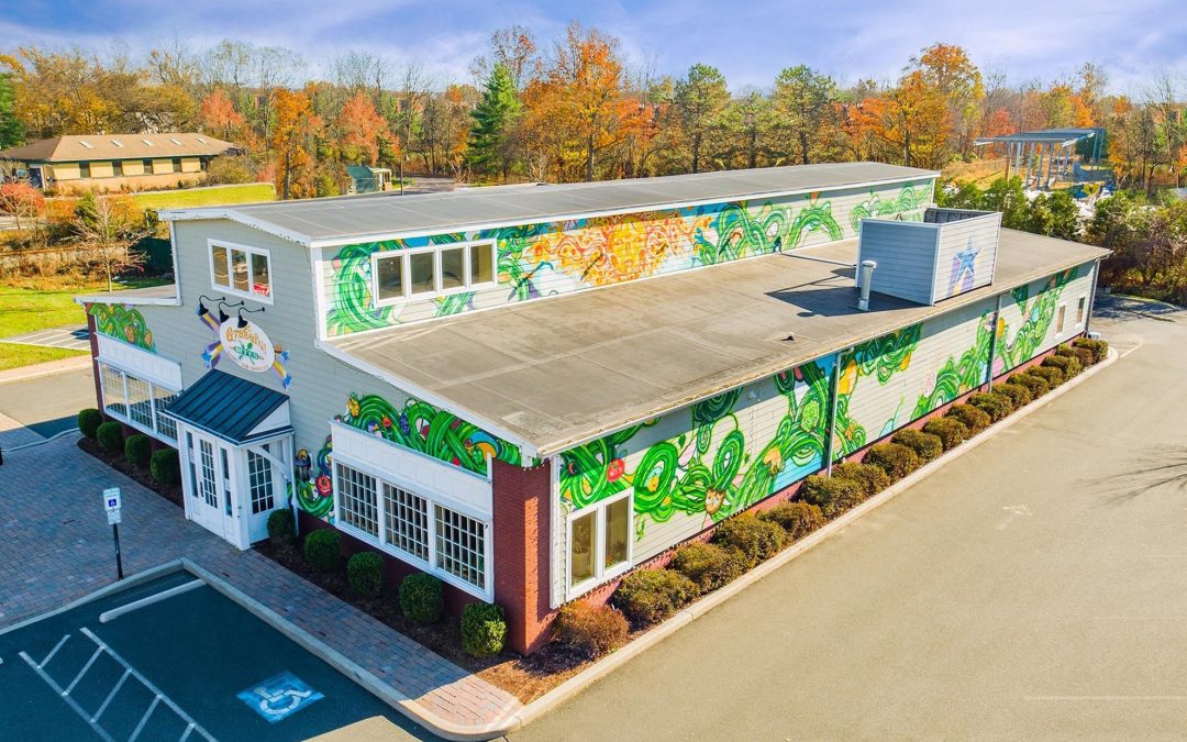 Drone photograph of Grateful Bites Flemington NJ