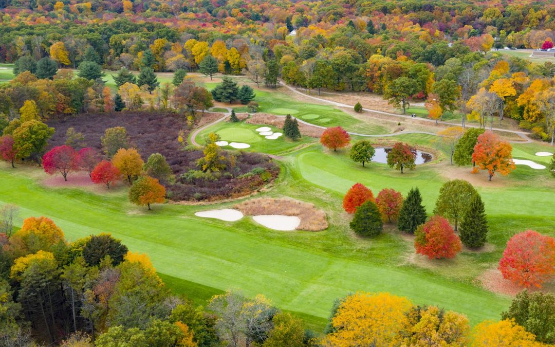 Drone Photography of Fall Colors in NJ