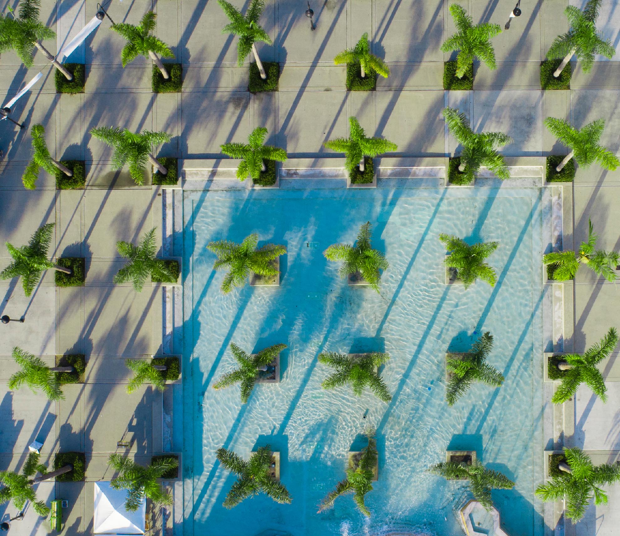 Drone Photograph of Birds eye view of Oceanside Civic Centers palm trees and pool