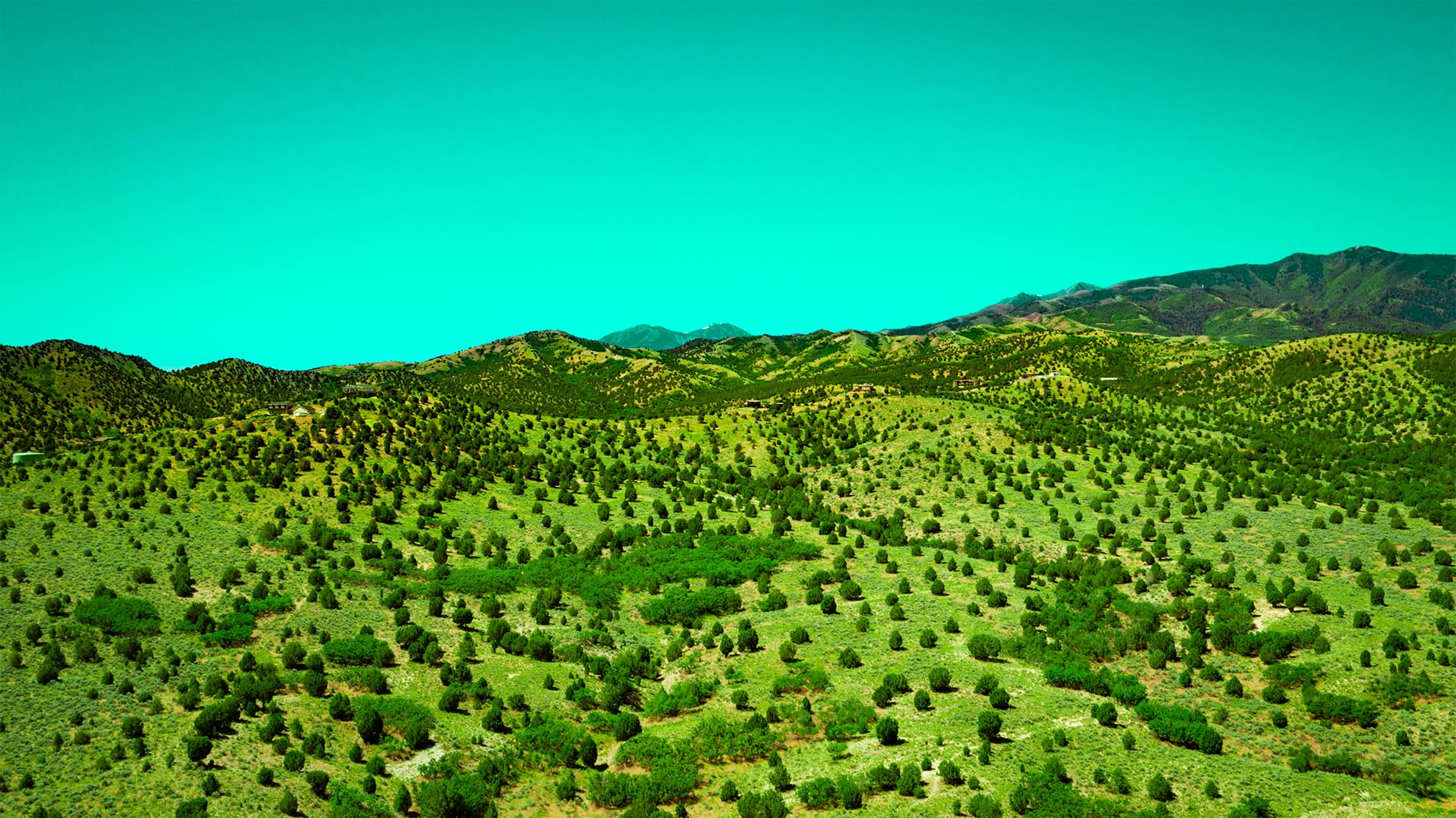 Drone Photograph of Utah Hillside