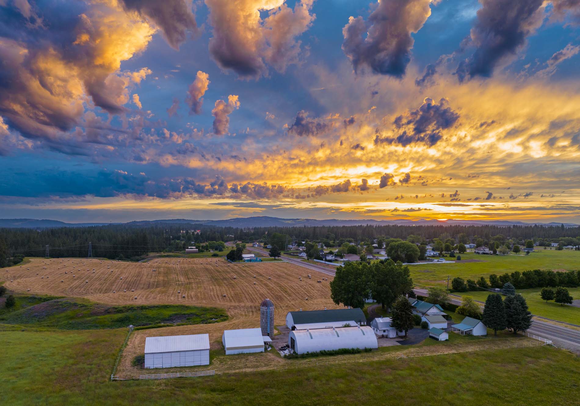 Drone Photograph of the Canola farm Washington State at sunset