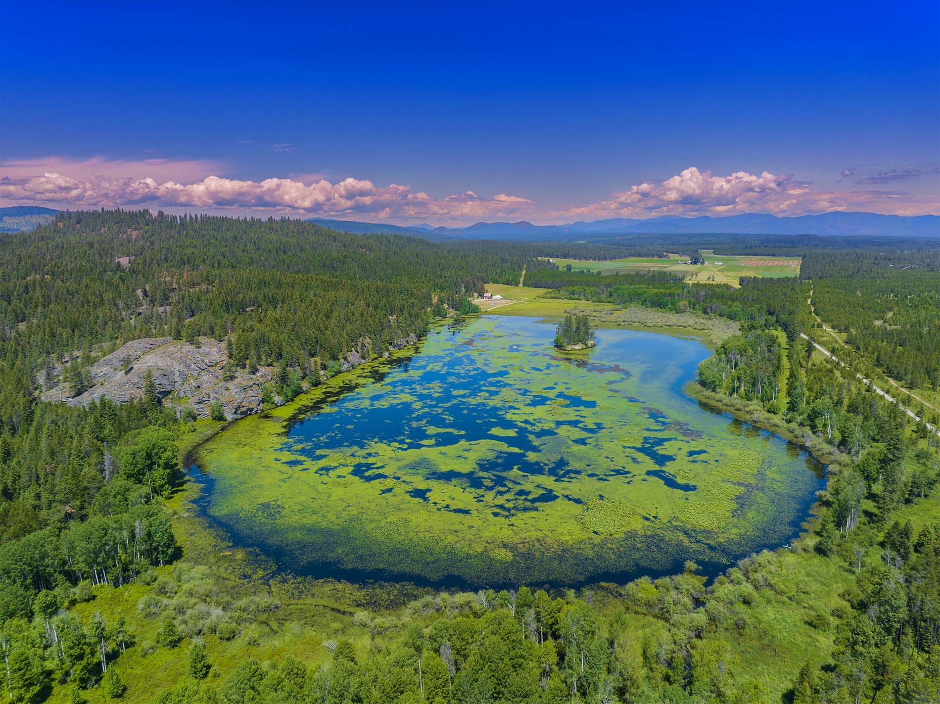 Drone Photograph of the Trask Pond Washington